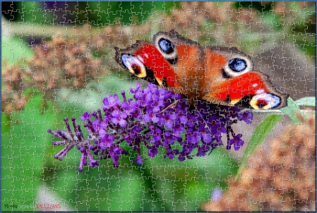 BUY NOW! A JEWEL OF NATURE Digital Jigsaw - Own it Forever