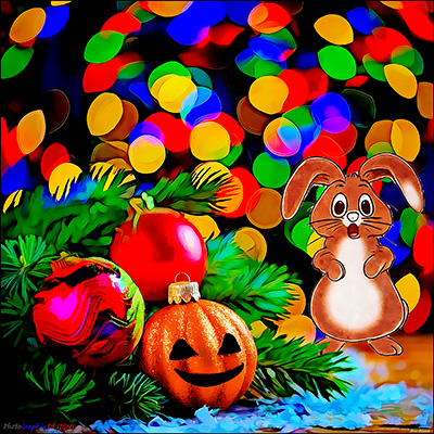 BUY NOW! OOPS IT'S A FESTIVE MIX-UP - PHOTOGRAPHIC ART PRINT
