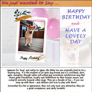 A "Birthday" e-Card - THE JAPANESE SHIBA INU