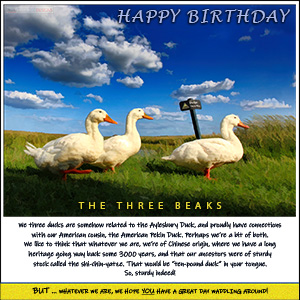A "Birthday" e-Card - THE THREE BEAKS