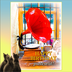 Happy Birthday Pussycat! e-Card - VINTAGE MUSIC PLAYER