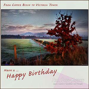 A "Birthday" e-Card - with Fine Art Photographic FROM COPPER BEECH TO VICTORIA TOWER