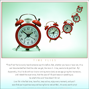 A "BLANK" Add Your Own Message e-Card - TIME FLIES
