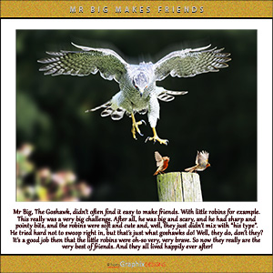 A "Blank - add your own message" e-Card with Fine Art Photographic Image of MR BIG MAKES FRIENDS