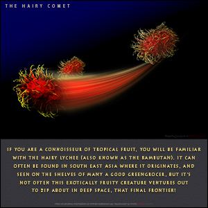 A "BLANK" Add Your Own Message e-Card - THE DEEP SPACE RAMBUTAN