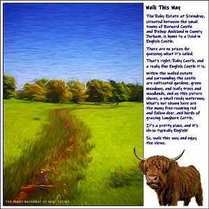 BLANK e-Card - ADD YOUR OWN MESSAGE