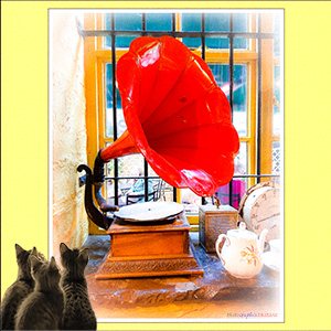 A "BLANK" Add Your Own Message e-Card - RED-FUNNELLED GRAMAPHONE