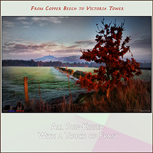 A "Blank" e-Card - with Fine Art Photographic Image FROM COPPER BEECH TO VICTORIA TOWER