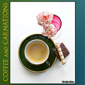 A "Blank - add your own message" e-Card - with Fine Art Photographic Image of STRAWBERRIES AND CREAM