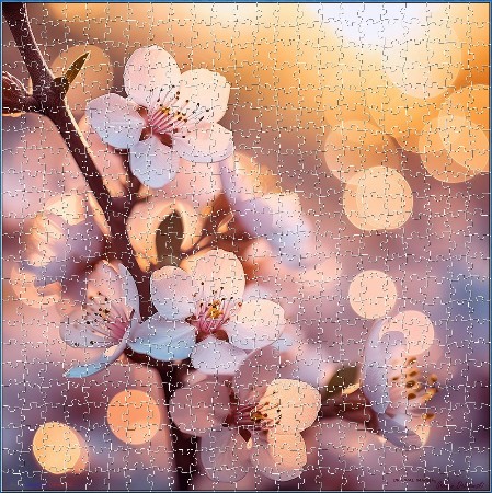 BUY NOW! BLOSSOMS in SUNLIGHT - Digital Jigsaw - Own it Forever