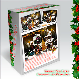 A CHRISTMAS e-CARD - EVERY HAPPINESS THIS CHRISTMAS