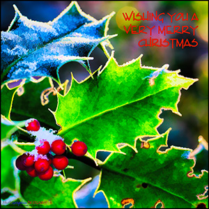 A CHRISTMAS e-CARD - CHRISTMAS BOX