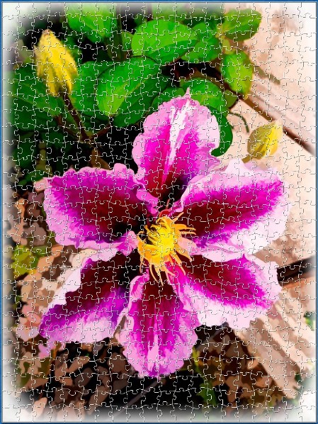 BUY NOW! CLEMATIS Digital Jigsaw - Own it Forever