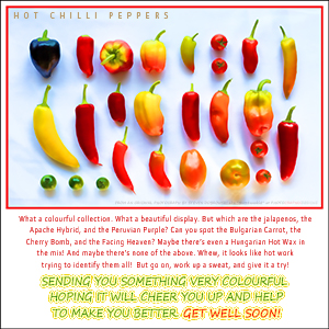 An INVITATION e-Card - STAR DATE