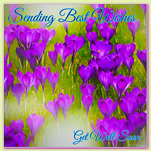 A GET WELL SOON e-CARD - THE CROCUS IN SONG