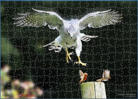 BUY NOW! MR BIG MAKES FRIENDS - web-playable jigsaw