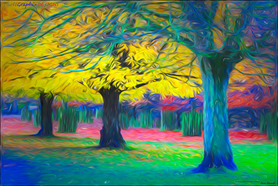 BUY NOW! A PALETTE OF AUTUMN COLOURS - FINE ART PRINT