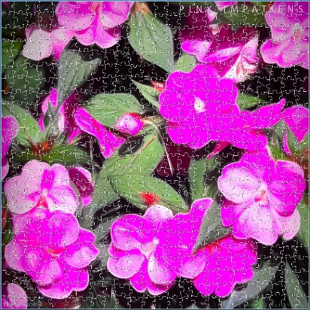 BUY NOW! PINK BUSY LIZZIES Digital Jigsaw - Own it Forever