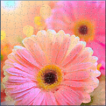 BUY NOW! PINK GERBERAS - A Touch of Grace - web-playable jigsaw