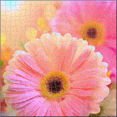 BUY NOW! PINK GERBERAS - A Touch of Grace - Digital Jigsaw - Own it Forever