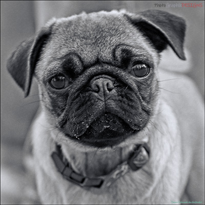 IF YOU THINK I'M CUTE