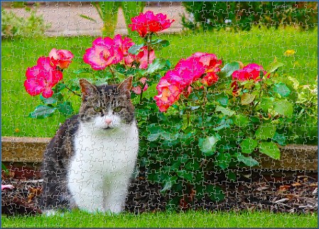 BUY NOW! PUSSY CAT AND ROSES TOO Digital Jigsaw - Own it Forever