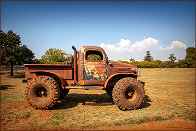 BUY NOW! RUSTY - FINE ART PRINT