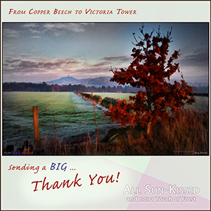 A "Thank You" e-Card - with Fine Art Photographic FROM COPPER BEECH TO VICTORIA TOWER