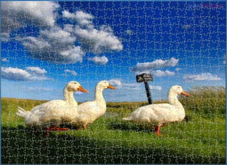 BUY NOW! THE THREE BEAKS Digital Jigsaw - Own it Forever
