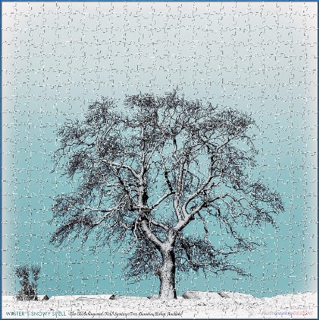 BUY NOW! IN WINTER'S EMBRACE - Digital Jigsaw - Own it Forever